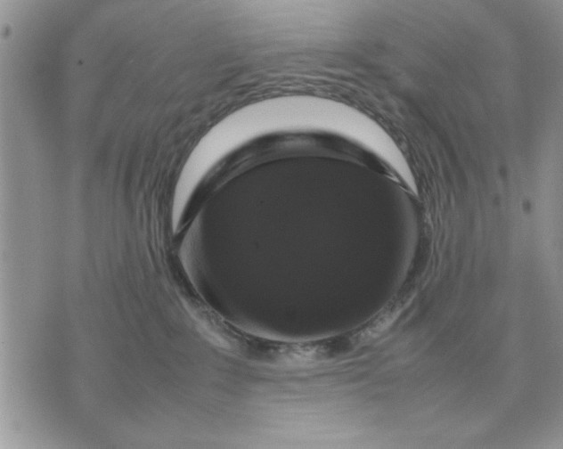 X0000070350235200606301813
