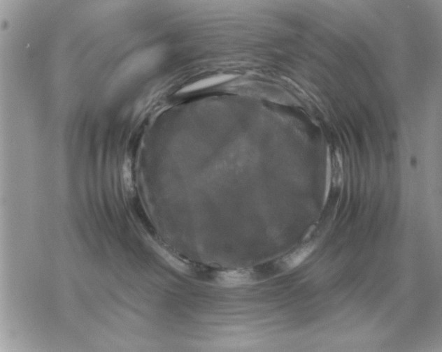 X0000070350238200606301813
