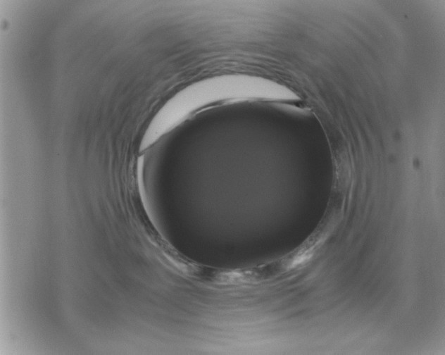 X0000070350239200606301813