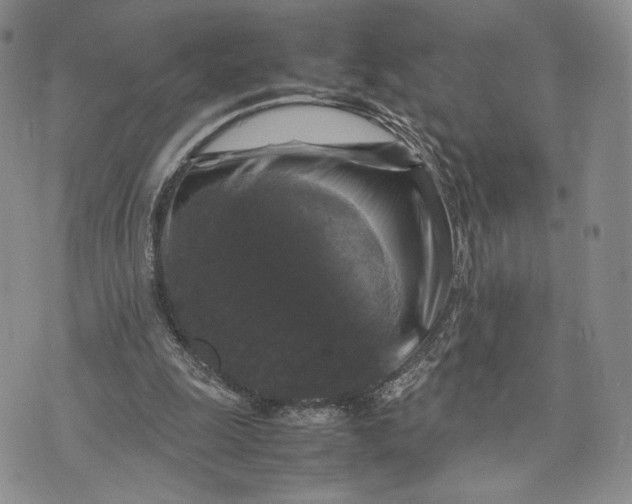 X0000070350247200606301813