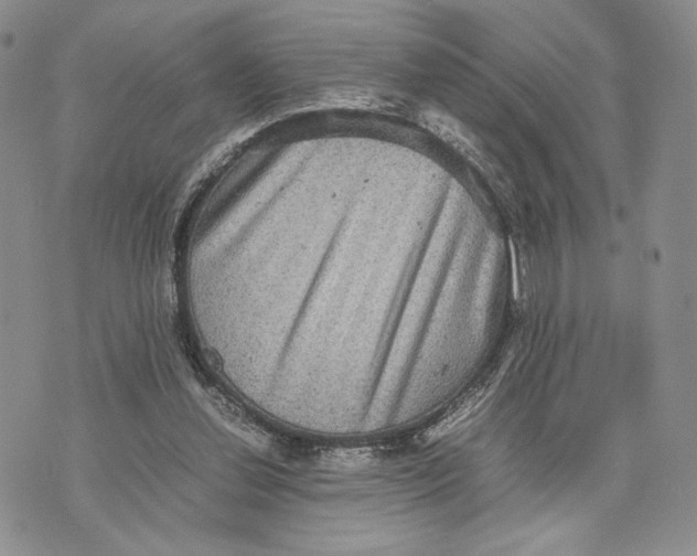 X0000070350252200606301813