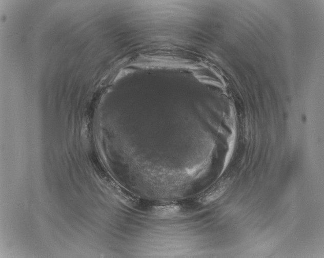 X0000070350266200606301813