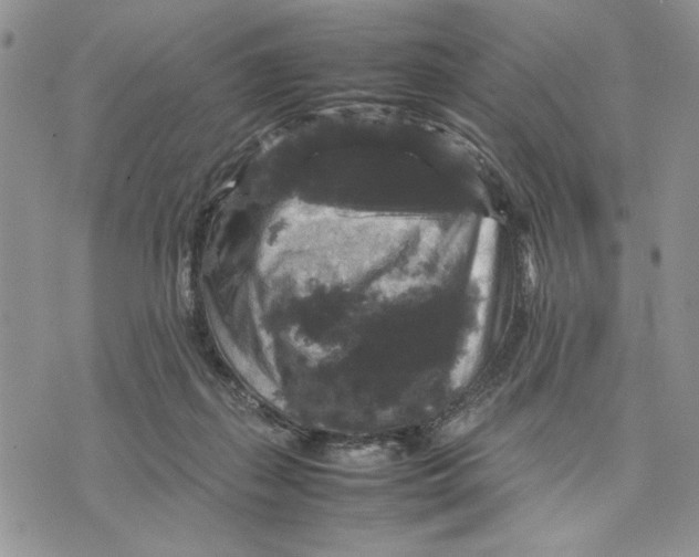 X0000070350267200606301813