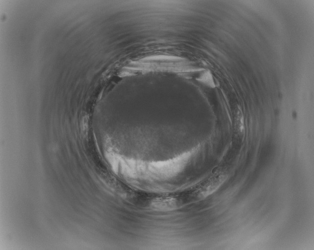 X0000070350271200606301813