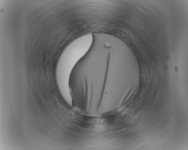X0000070350276200606301813