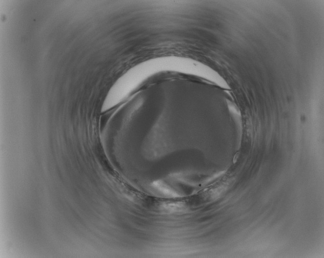 X0000070350283200606301813