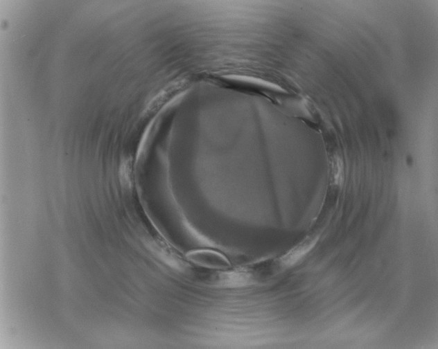 X0000070350286200606301813