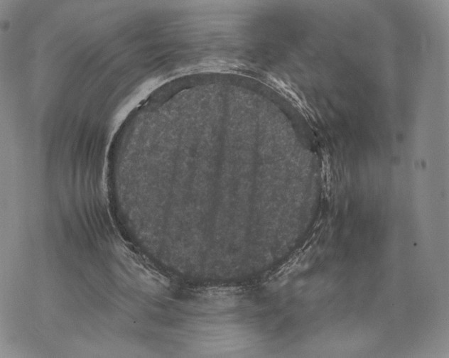 X0000070350292200606301812