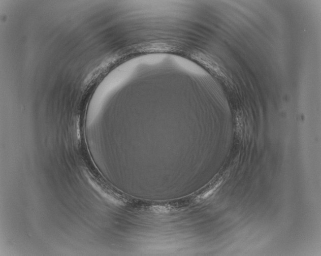 X0000070350302200606301812