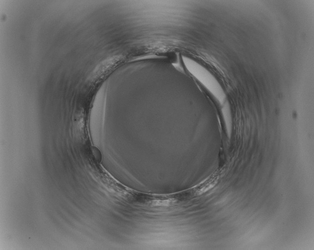 X0000070350314200606301812