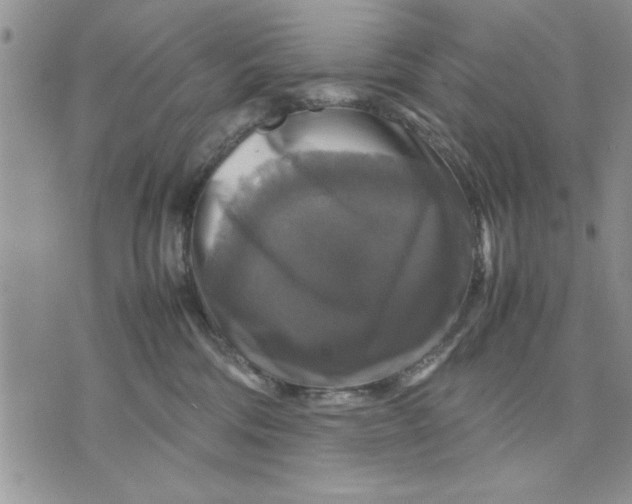 X0000070350330200606301812