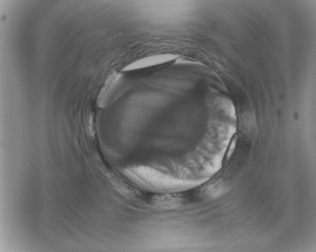 X0000070350331200606301812
