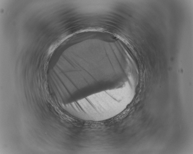 X0000070350337200606301811