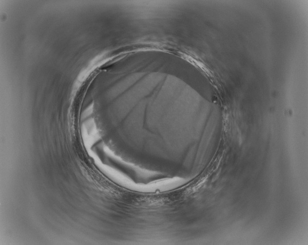 X0000070350343200606301811