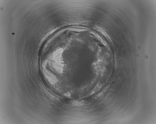 X0000070350346200606301811