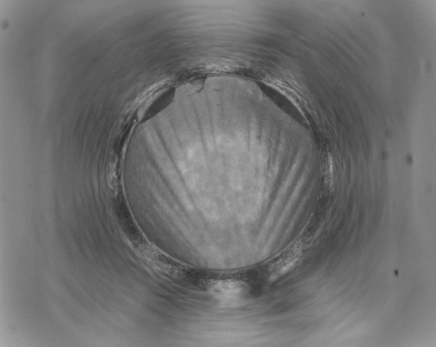 X0000070350360200606301811