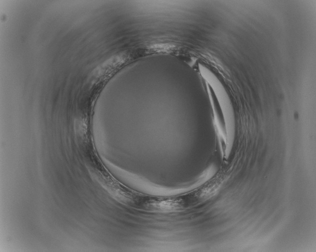 X0000070350365200606301811