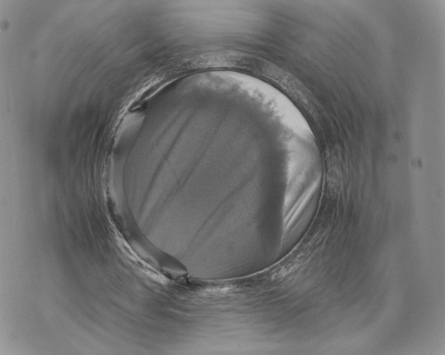 X0000070350386200606301811