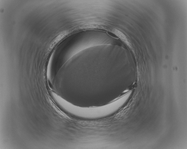 X0000070350389200606301811