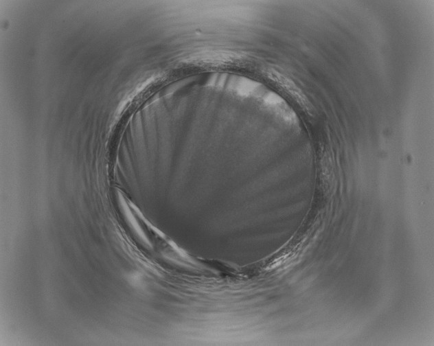 X0000070350399200606301811