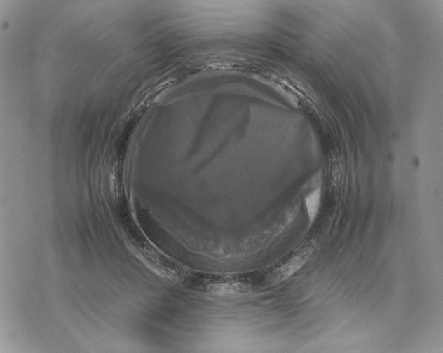 X0000070350408200606301811
