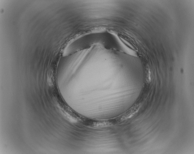X0000070350414200606301810