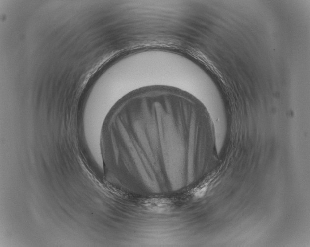 X0000070350444200606301810