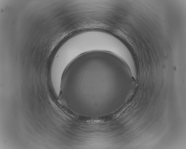 X0000070350448200606301810