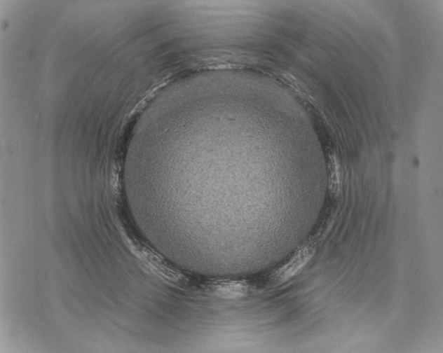 X0000070350456200606301810