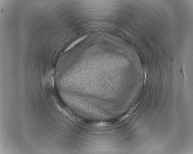 X0000070350460200606301810