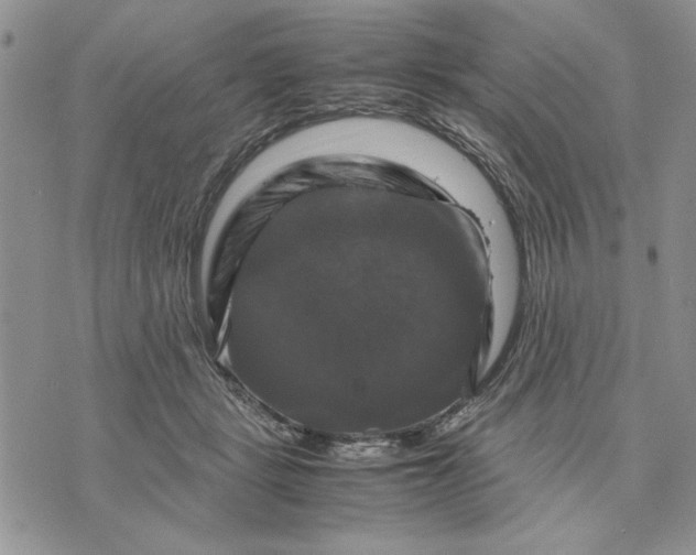 X0000070350461200606301810