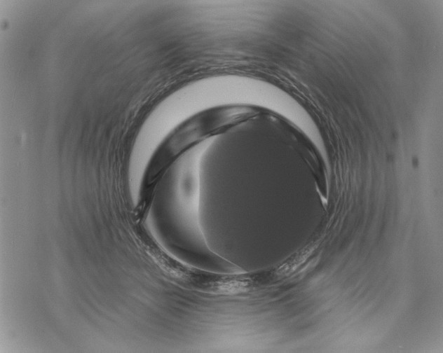 X0000070350462200606301810