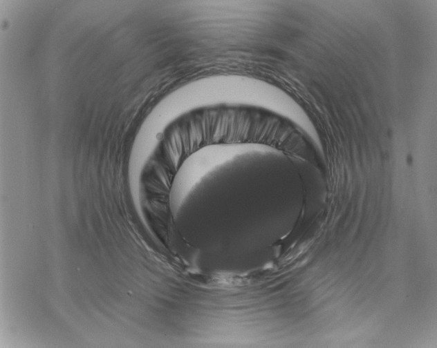 X0000070350466200606301810