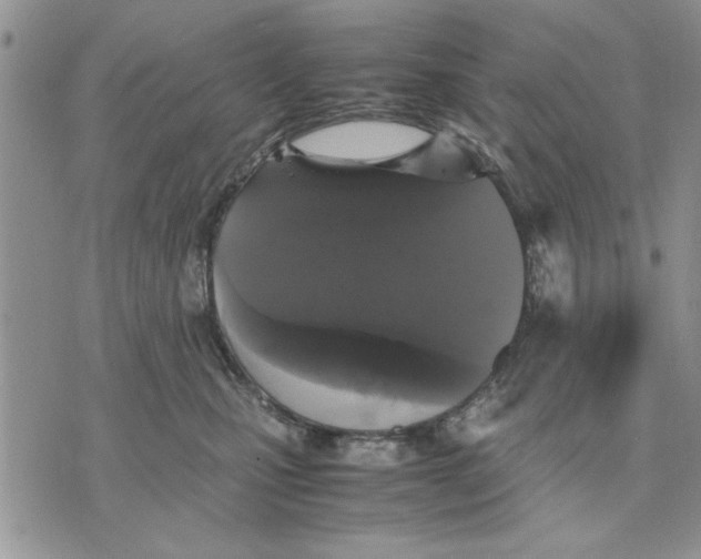 X0000070350471200606301810