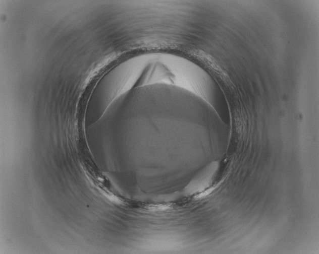 X0000070350488200606301809