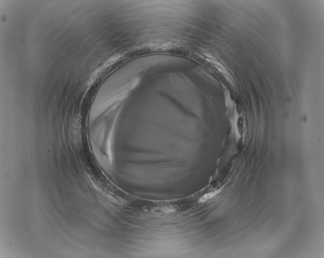 X0000070350492200606301809
