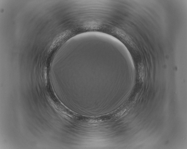 X0000070350494200606301809