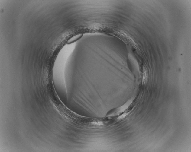 X0000070350496200606301809