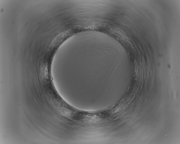 X0000070350502200606301809