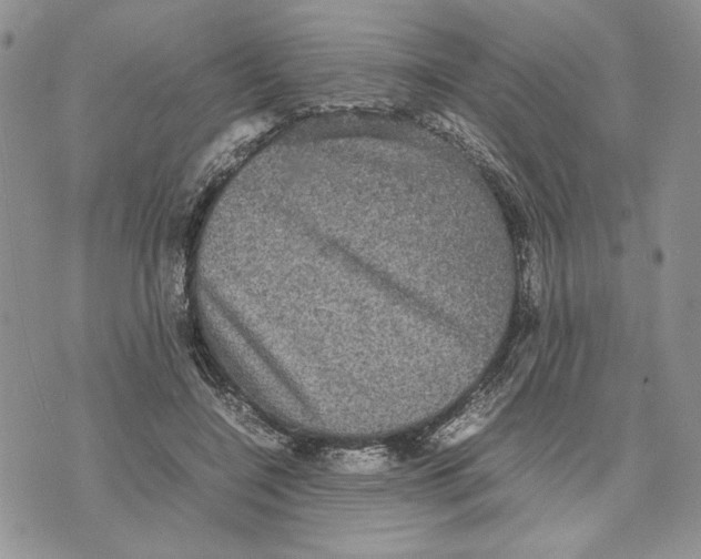 X0000070350548200606301808