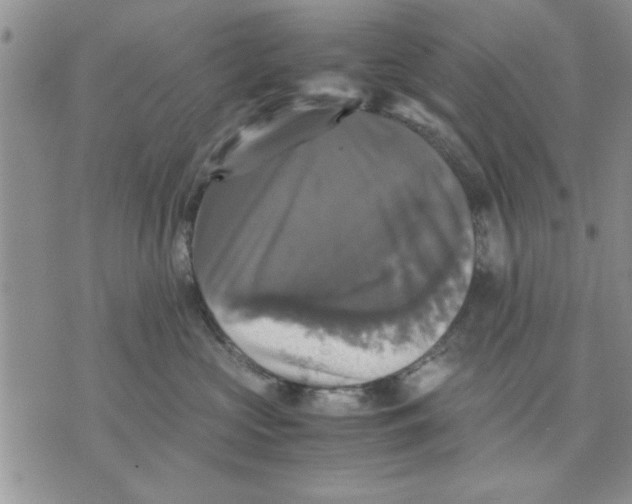 X0000070350573200606301809