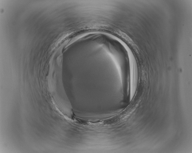 X0000070350577200606301808