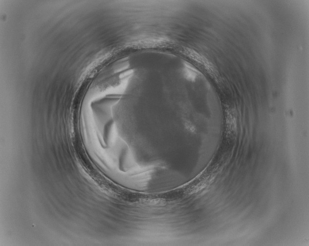 X0000070350582200606301808