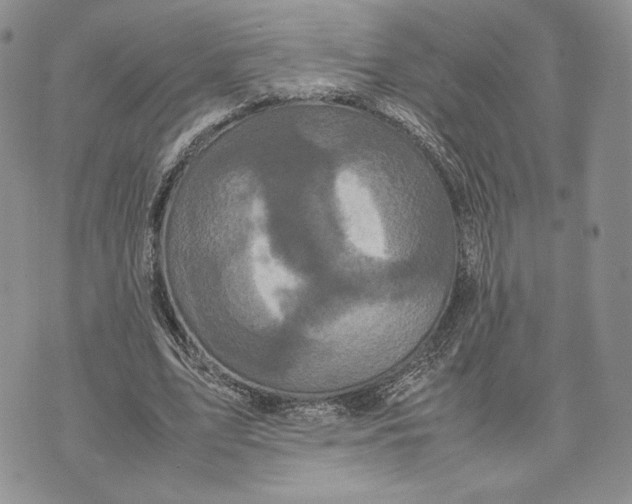 X0000070350583200606301808