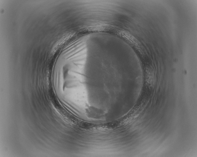 X0000070350586200606301808