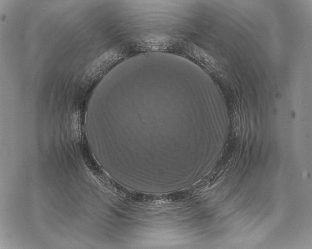 X0000070350594200606301808
