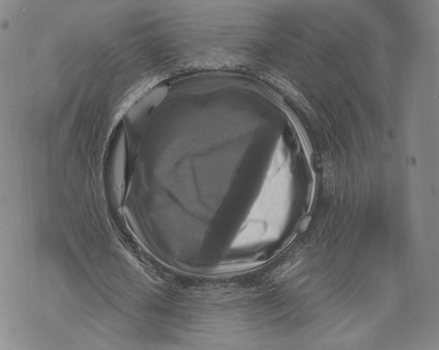 X0000070350626200606301806