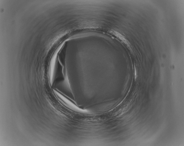 X0000070350627200606301806
