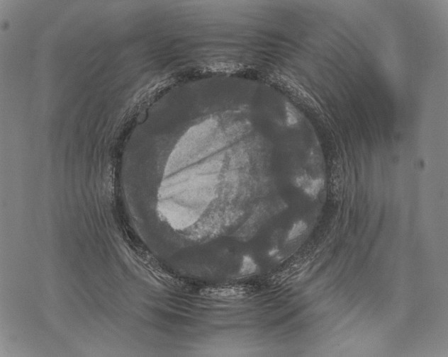 X0000070350639200606301806