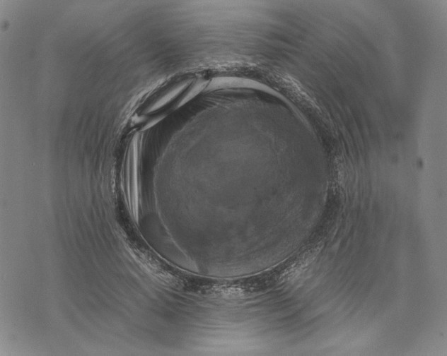 X0000070350640200606301807